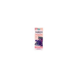 Nature's Way Sambucus Original Syrup (1x4 Oz)