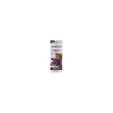Nature's Way Sambucus Original Syrup (1x8.0 Oz)