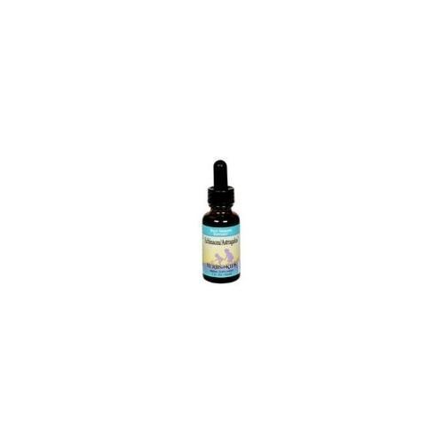 Herbs For Kids Echinacea Astraglus Blend (1x1 Oz BTL)