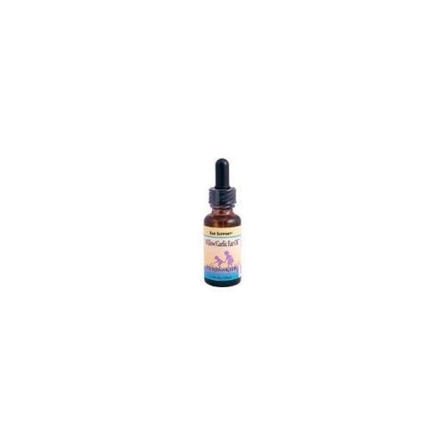 Herbs For Kids Willow Garlic Oil (1x1 Oz)