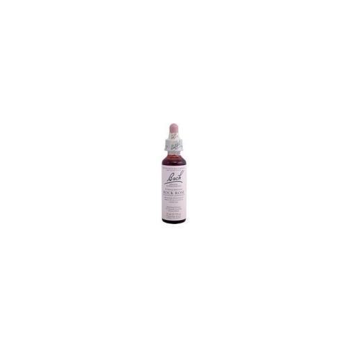 Bach Rock Rose (1x20 ML)