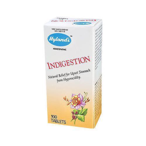 Hyland's Indigestion Tablets (1x100 TAB )